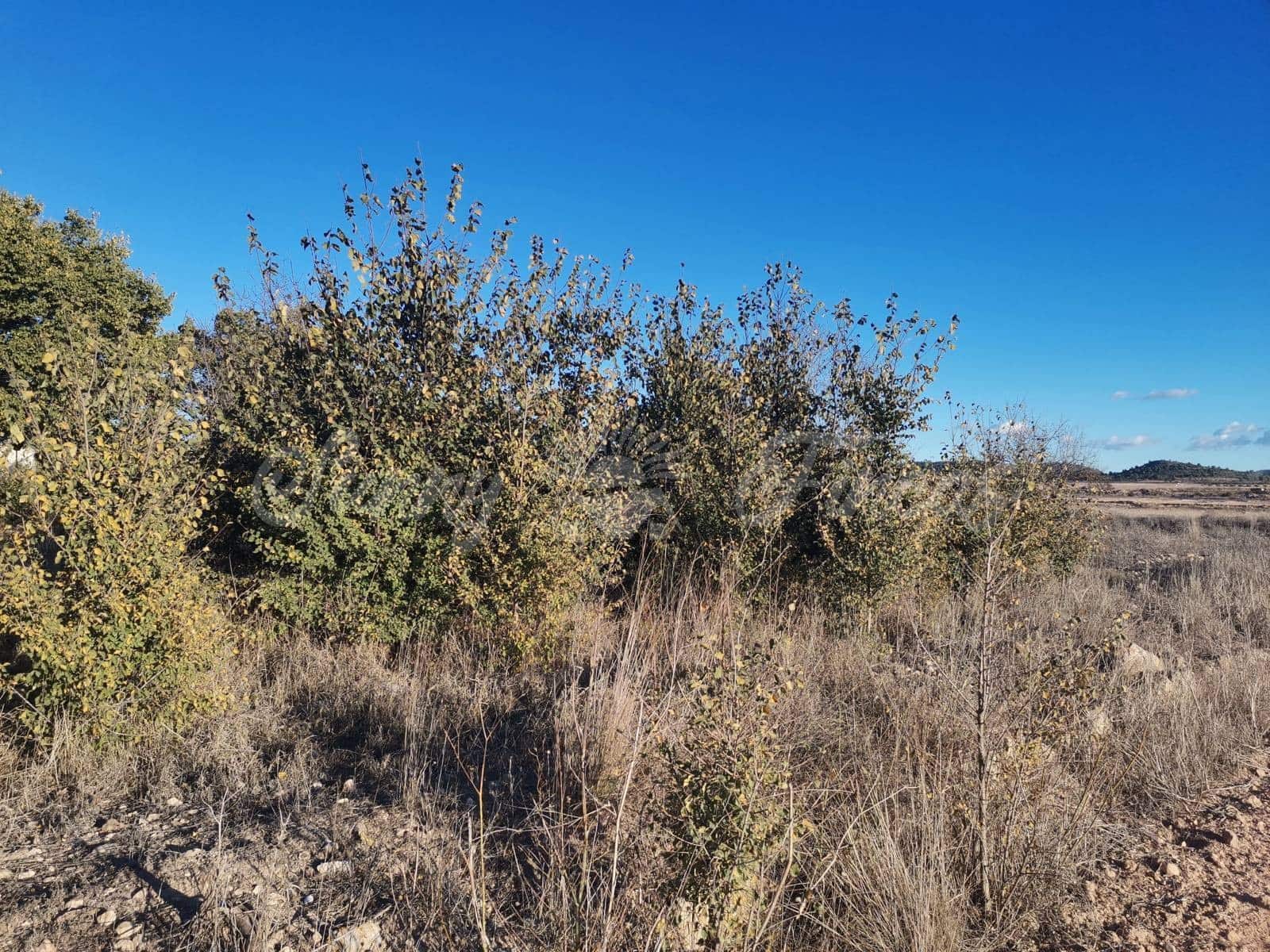 Ruin til salg i Villena - € 15.000 (Ref: 6453026)