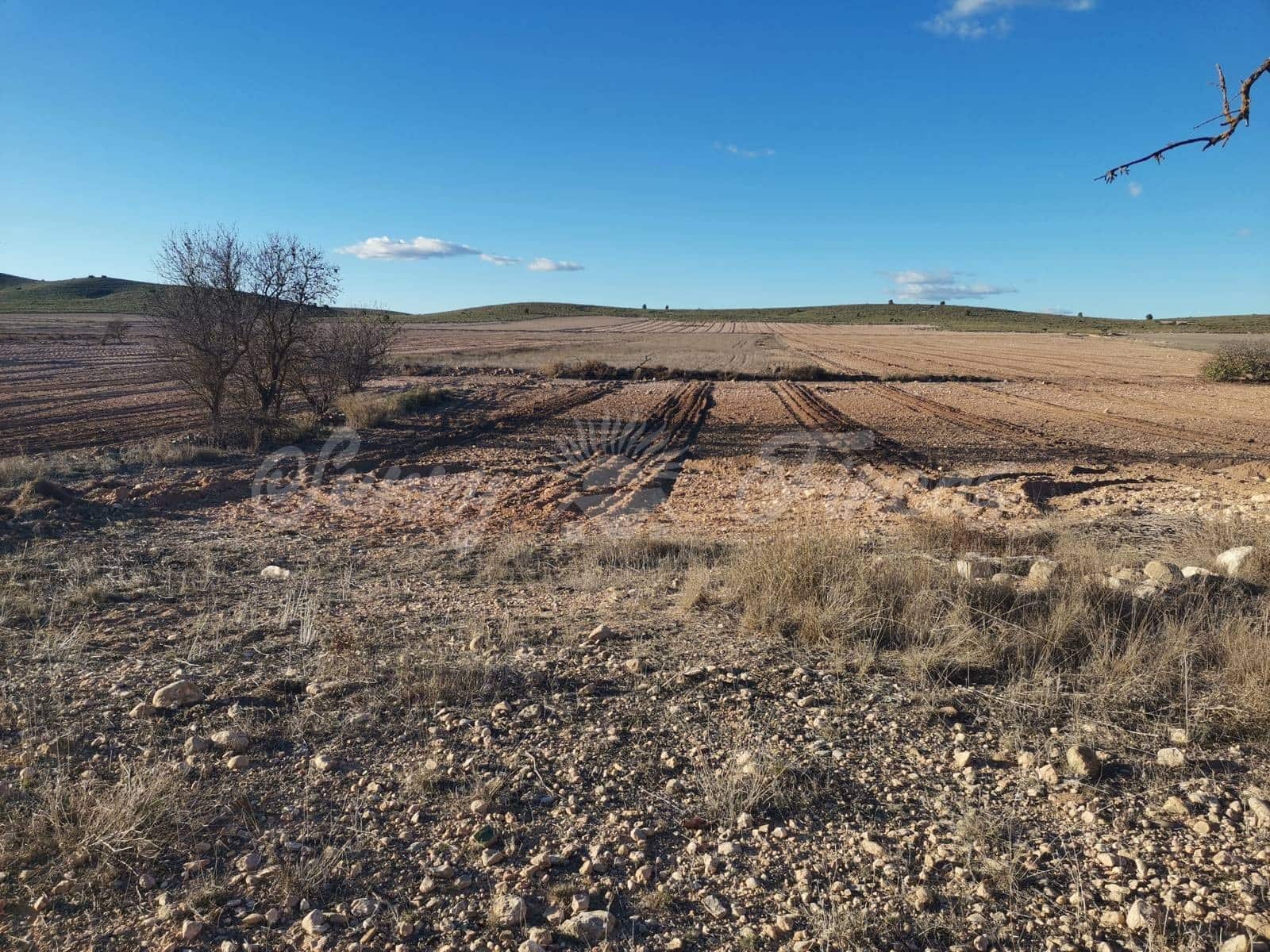 Ruin til salg i Villena - € 15.000 (Ref: 6453026)