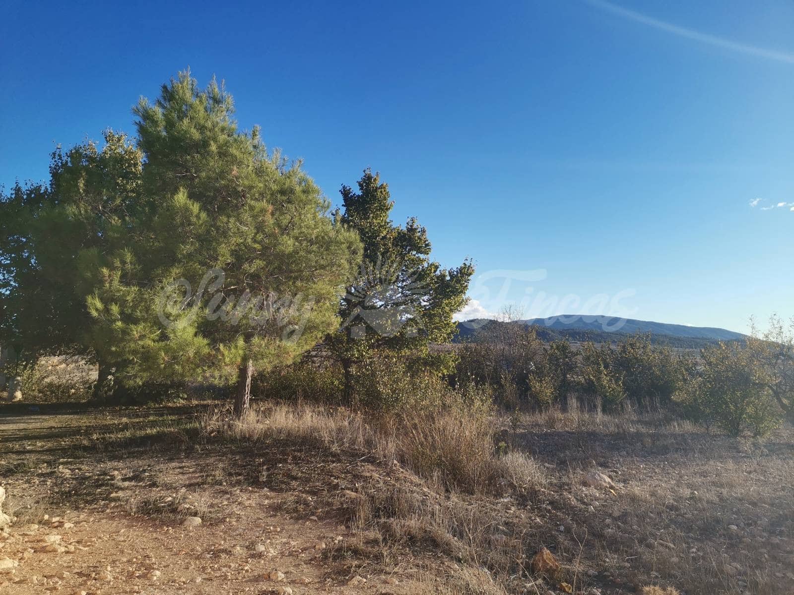 Ruin til salg i Villena - € 15.000 (Ref: 6453026)