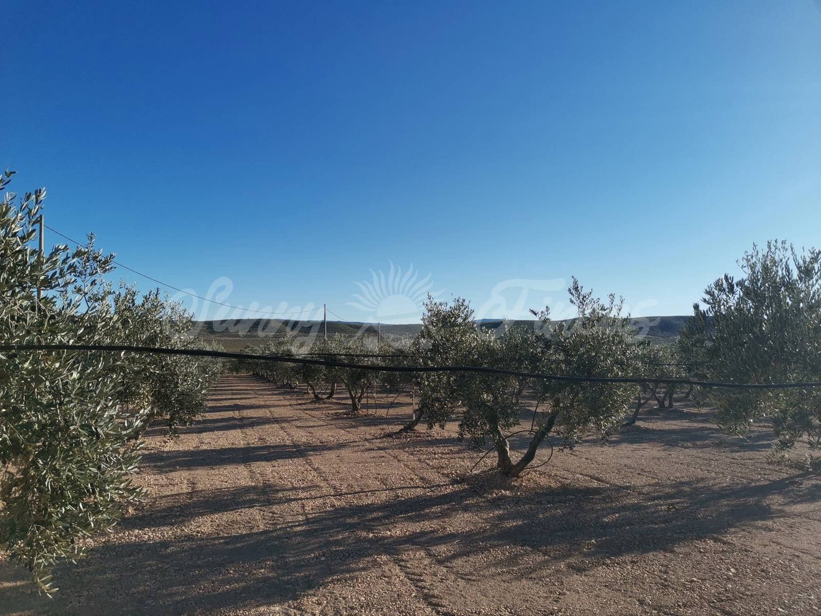 2 soverom Finca/Herregård til salgs i Yecla med svømmebasseng garasje - € 155 000 (Ref: 6453028)