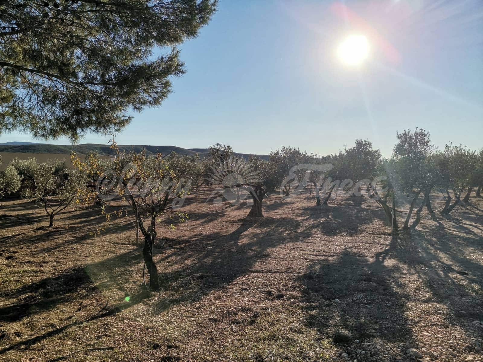 2 soverom Finca/Herregård til salgs i Yecla med svømmebasseng garasje - € 155 000 (Ref: 6453028)