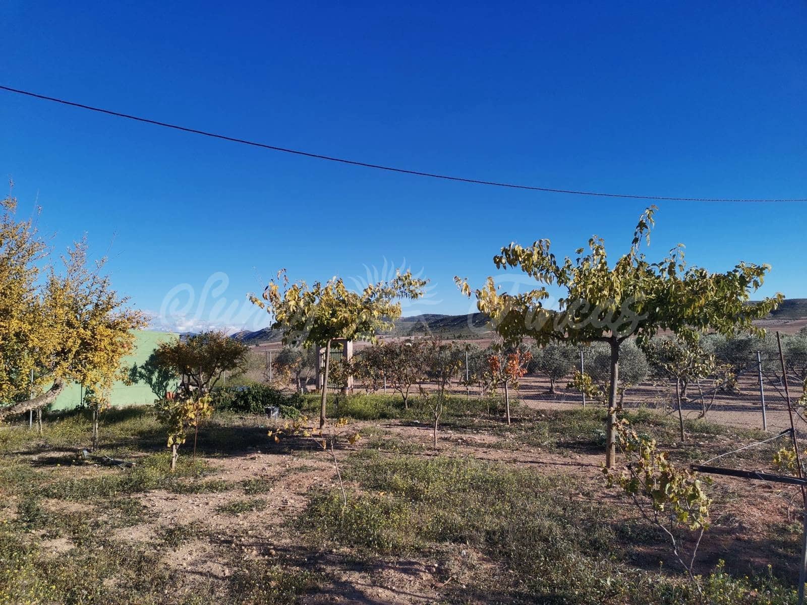 2 soverom Finca/Herregård til salgs i Yecla med svømmebasseng garasje - € 155 000 (Ref: 6453028)