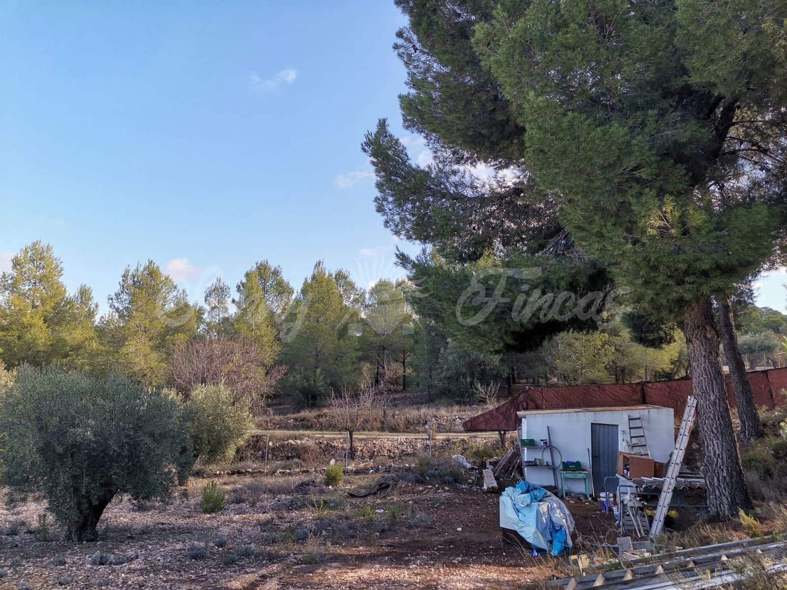 2 bedroom Finca/Country House for sale in Biar - € 99,000 (Ref: 6472111)