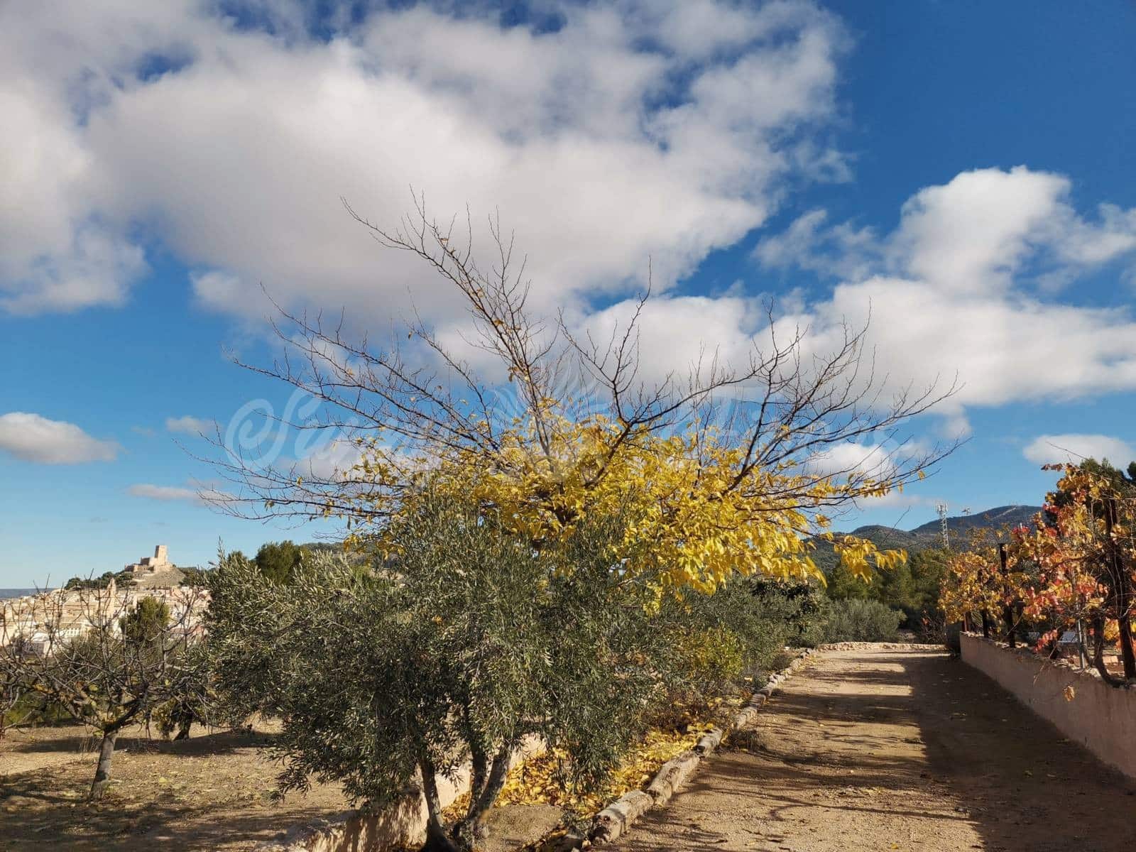 2 bedroom Finca/Country House for sale in Biar - € 99,000 (Ref: 6472111)