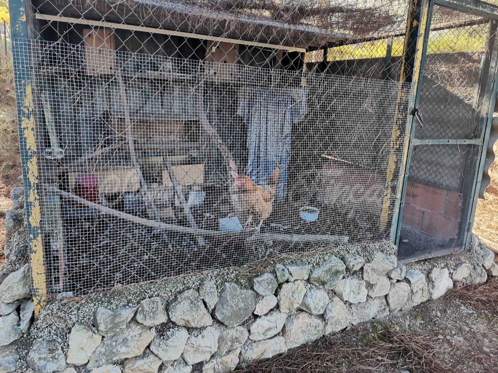 2 bedroom Finca/Country House for sale in Biar - € 99,000 (Ref: 6472111)