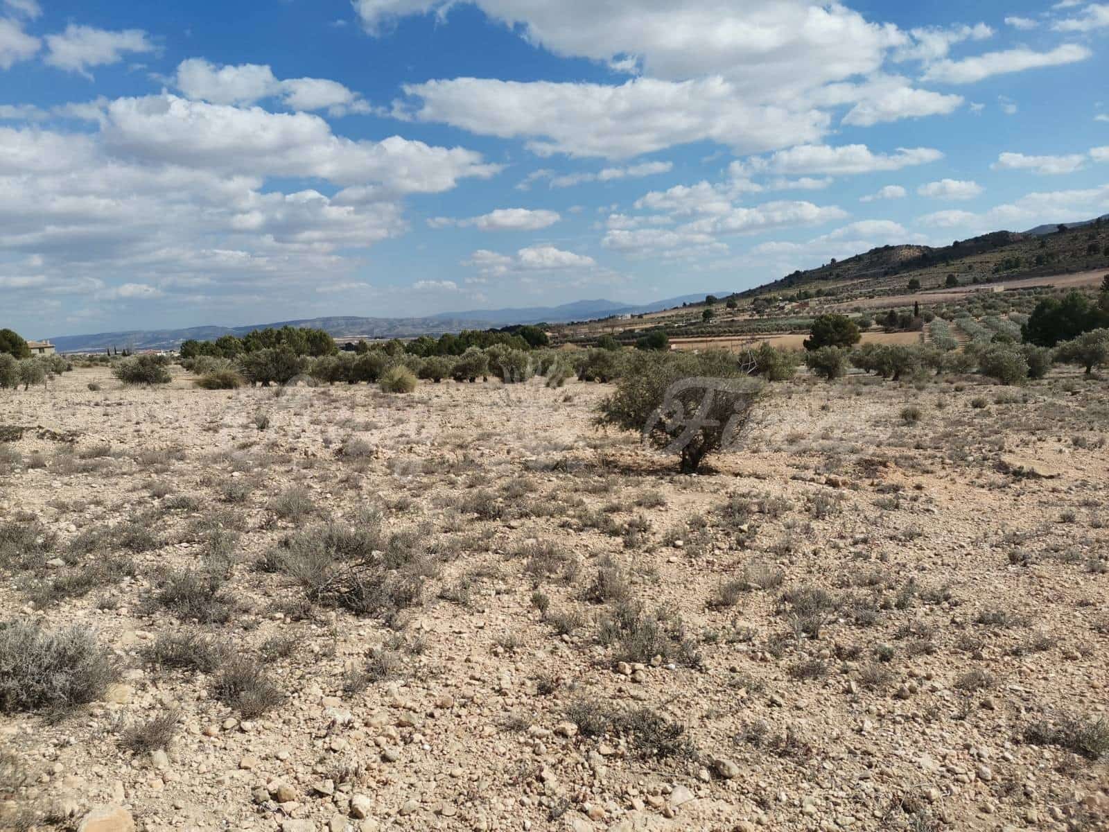 Grunde uden byggetilladelser til salg i Caudete - € 35.000 (Ref: 6687418)