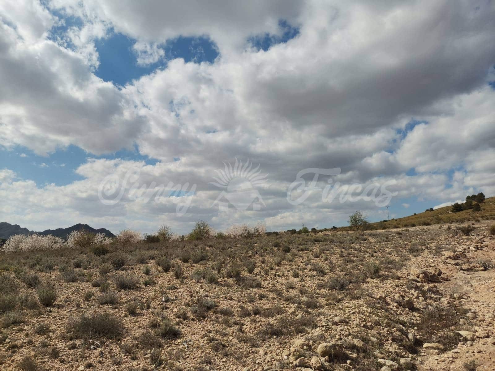 Grunde uden byggetilladelser til salg i Caudete - € 35.000 (Ref: 6687418)