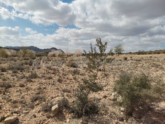 Undeveloped Land for sale in Caudete - € 35,000 (Ref: 6687418)