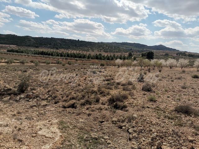 Undeveloped Land for sale in Caudete - € 35,000 (Ref: 6687418)