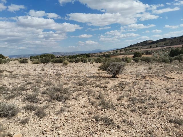 Undeveloped Land for sale in Caudete - € 35,000 (Ref: 6687418)