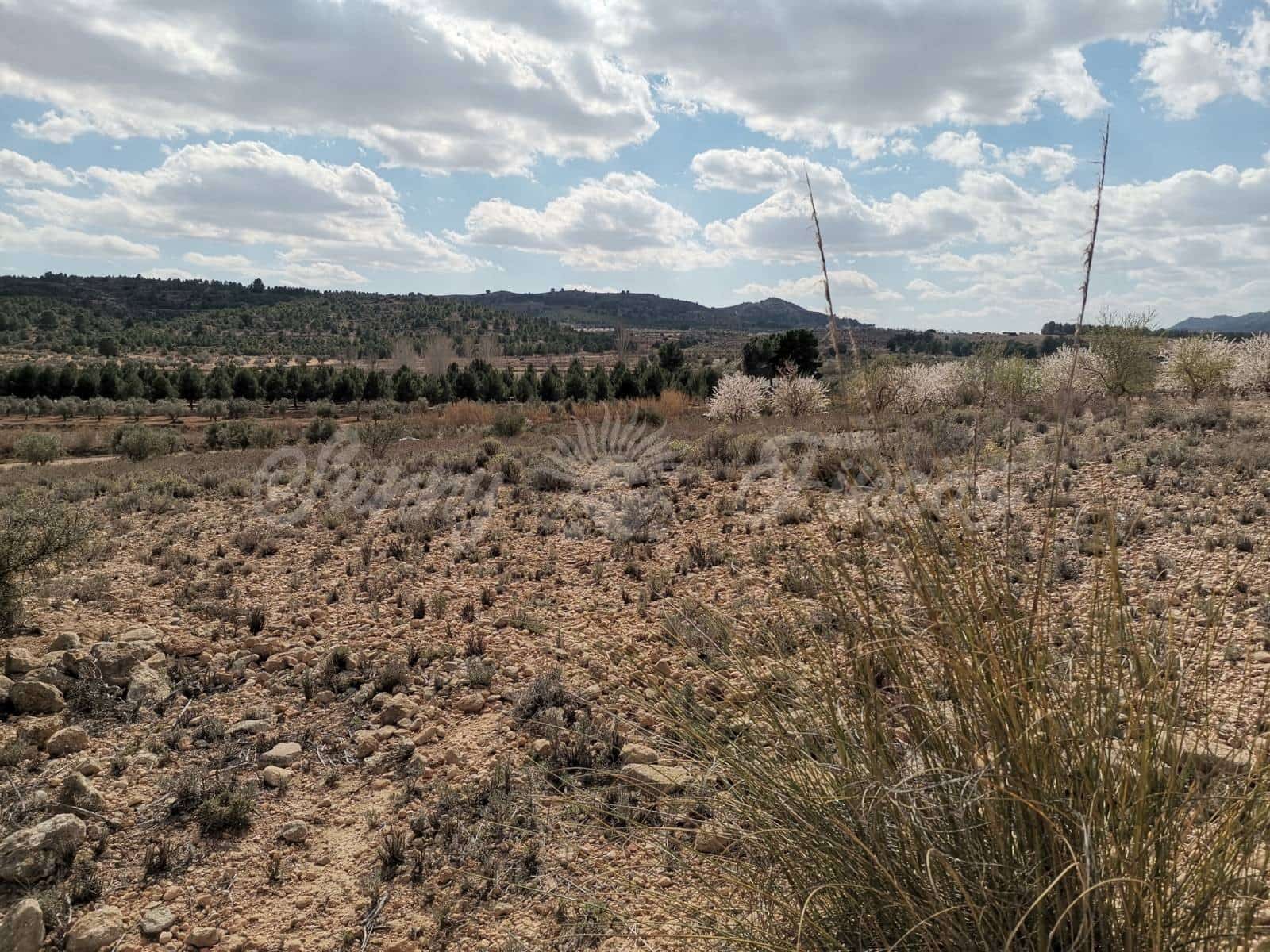 Grunde uden byggetilladelser til salg i Caudete - € 35.000 (Ref: 6687418)