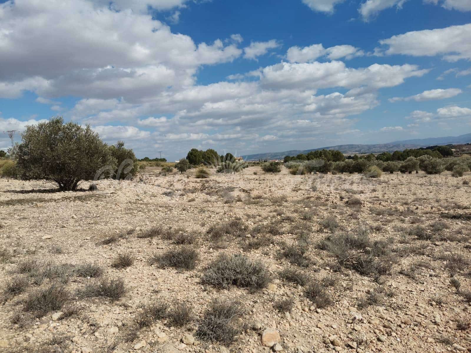 Grunde uden byggetilladelser til salg i Caudete - € 35.000 (Ref: 6687418)