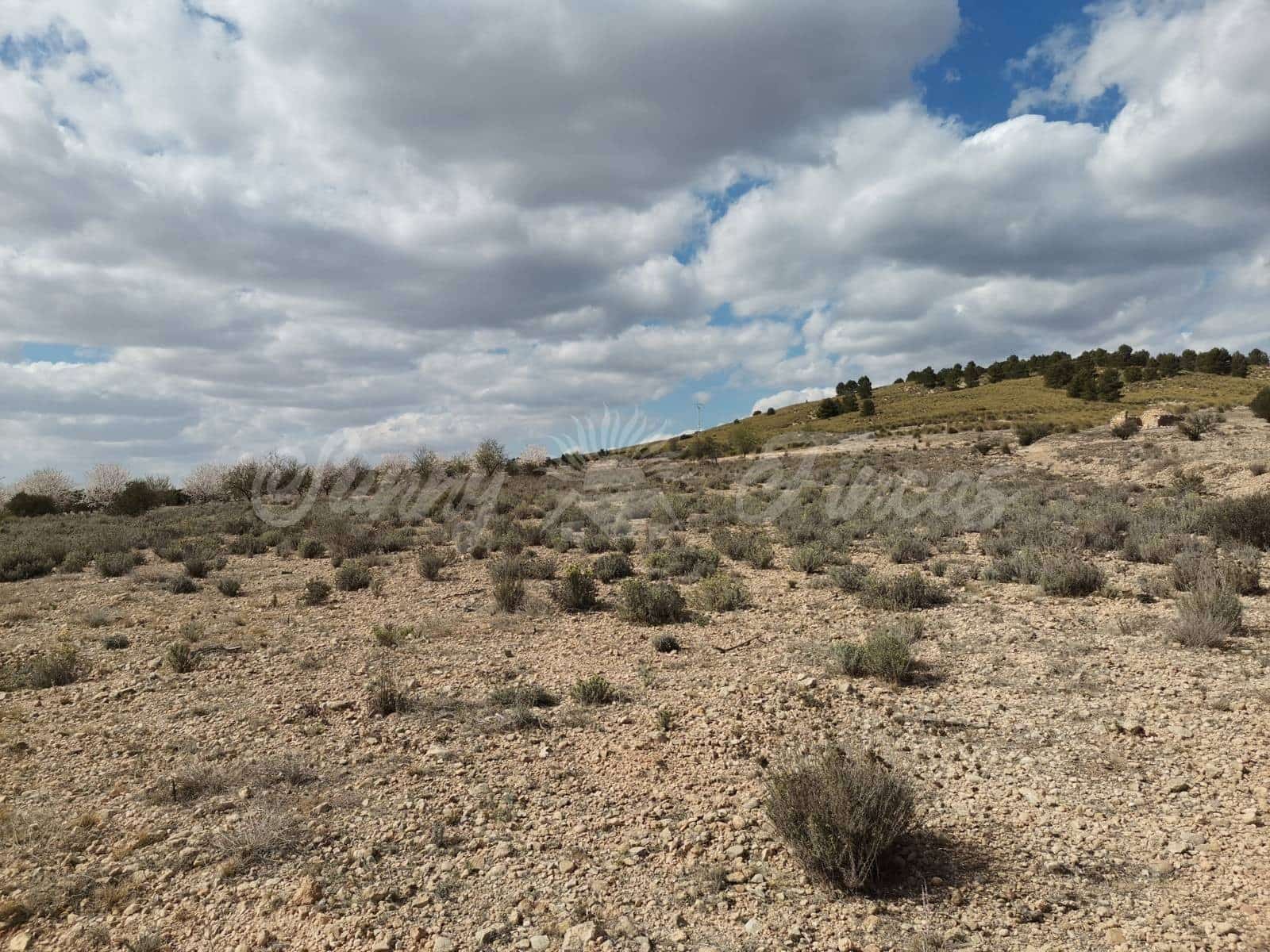 Grunde uden byggetilladelser til salg i Caudete - € 35.000 (Ref: 6687418)