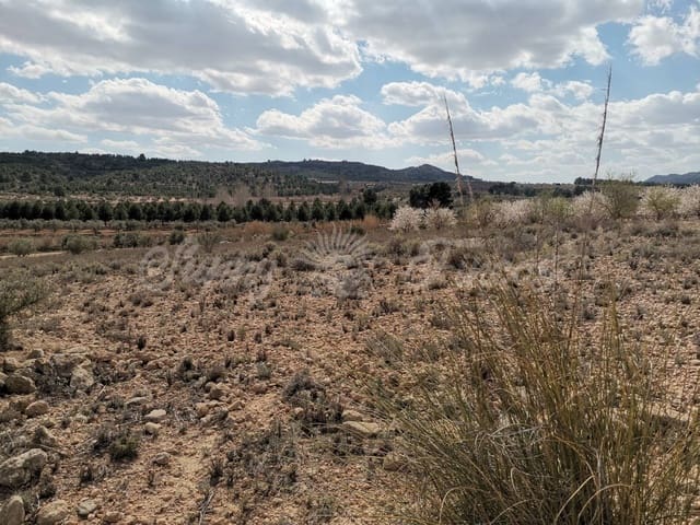 Undeveloped Land for sale in Caudete - € 35,000 (Ref: 6687418)