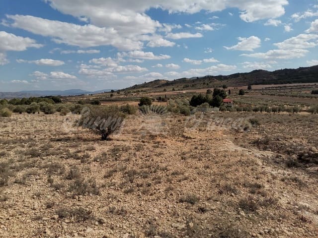 Undeveloped Land for sale in Caudete - € 35,000 (Ref: 6687418)