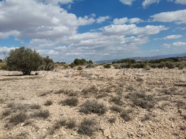 Undeveloped Land for sale in Caudete - € 35,000 (Ref: 6687418)