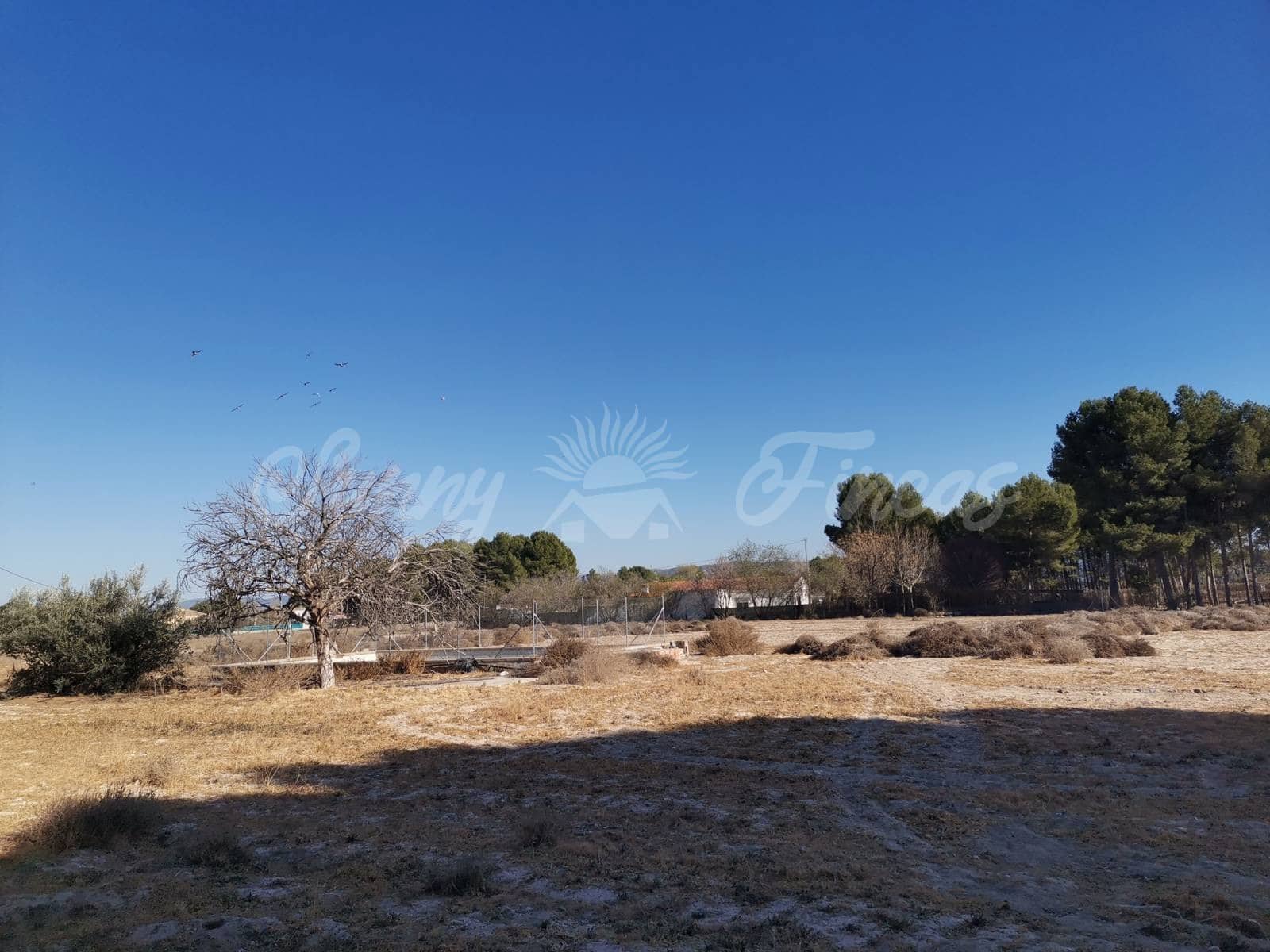 5 soveværelse Finca/Landehus til salg i Villena med swimmingpool garage - € 149.900 (Ref: 6703372)