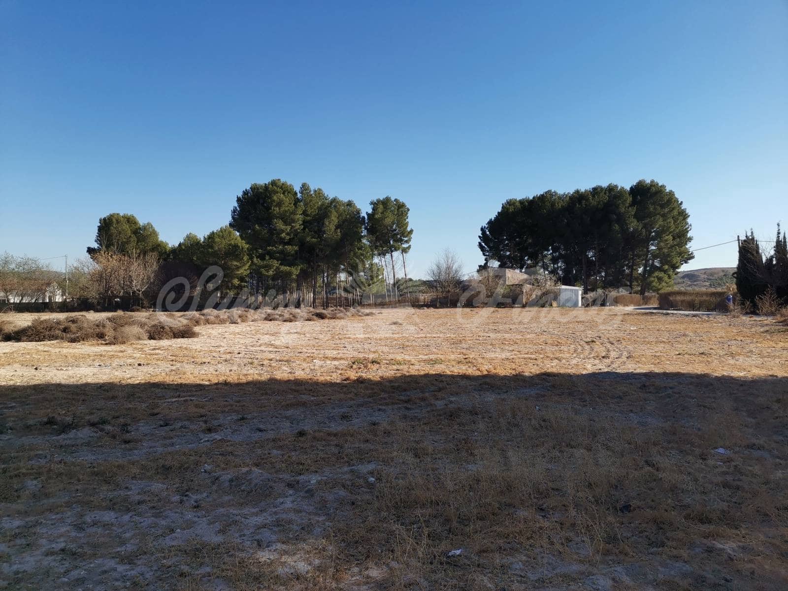 5 soveværelse Finca/Landehus til salg i Villena med swimmingpool garage - € 149.900 (Ref: 6703372)