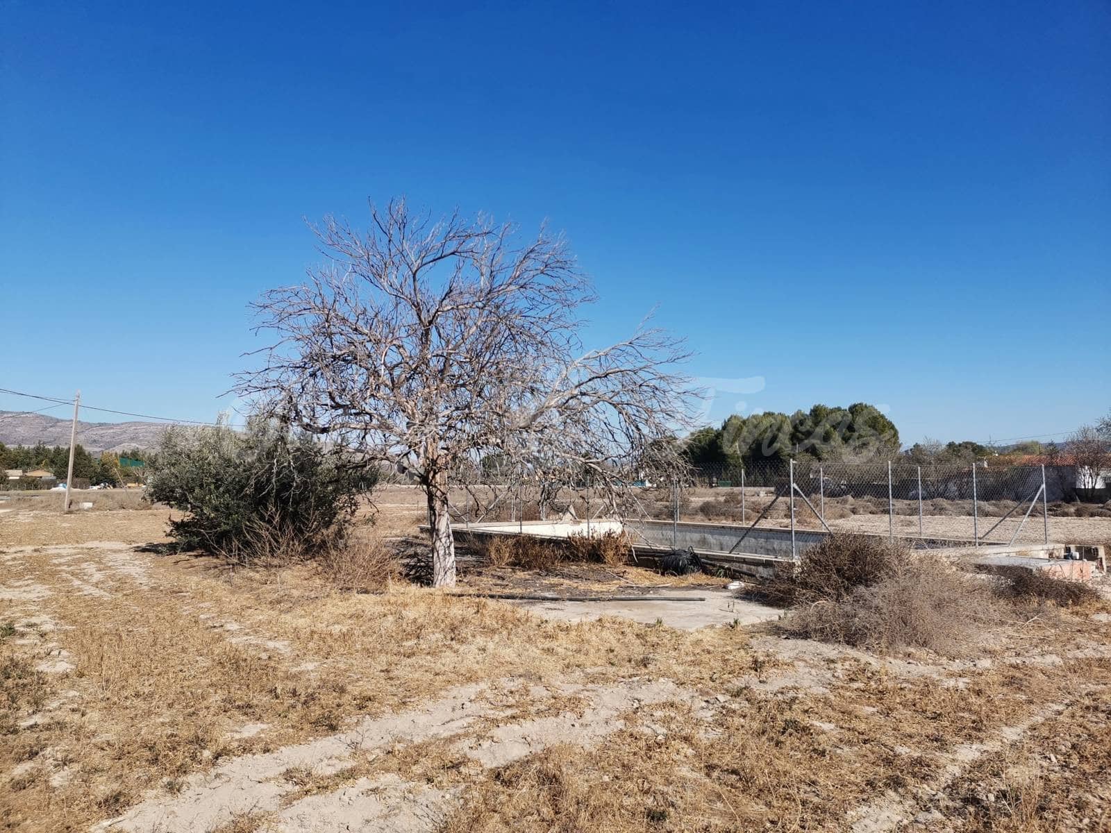 5 soveværelse Finca/Landehus til salg i Villena med swimmingpool garage - € 149.900 (Ref: 6703372)