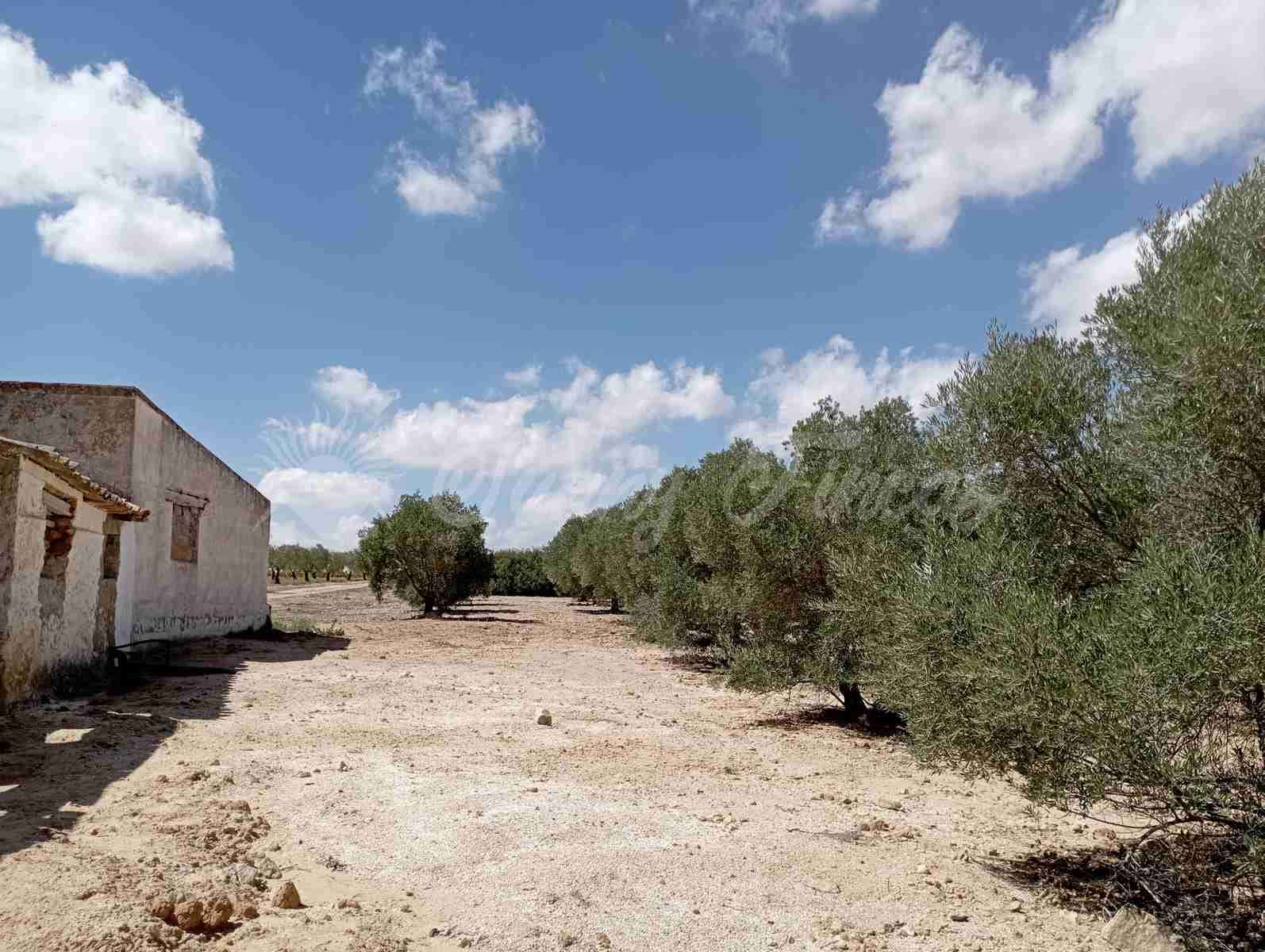 2 chambre Finca/Maison de Campagne à vendre à Yecla avec garage - 49 995 € (Ref: 6727729)