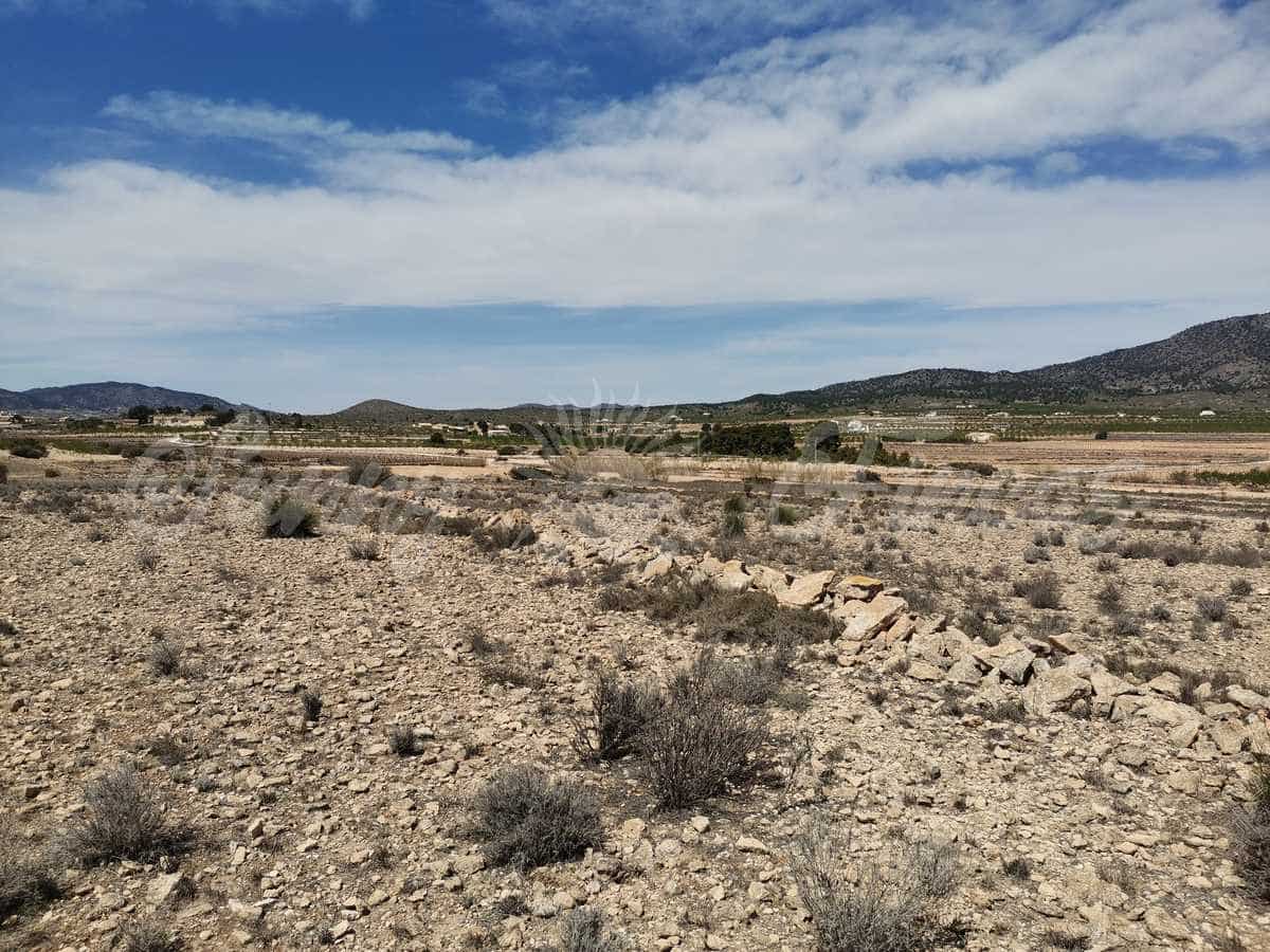 Grond te koop in Pinoso - € 38.000 (Ref: 6793992)