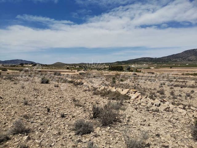 Mark till salu i Pinoso - 38 000 € (Ref: 6793992)