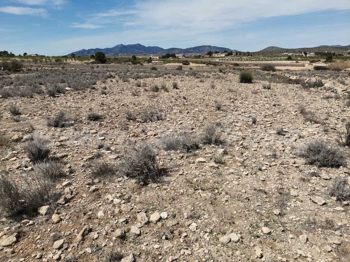 Grond te koop in Pinoso - € 38.000 (Ref: 6793992)