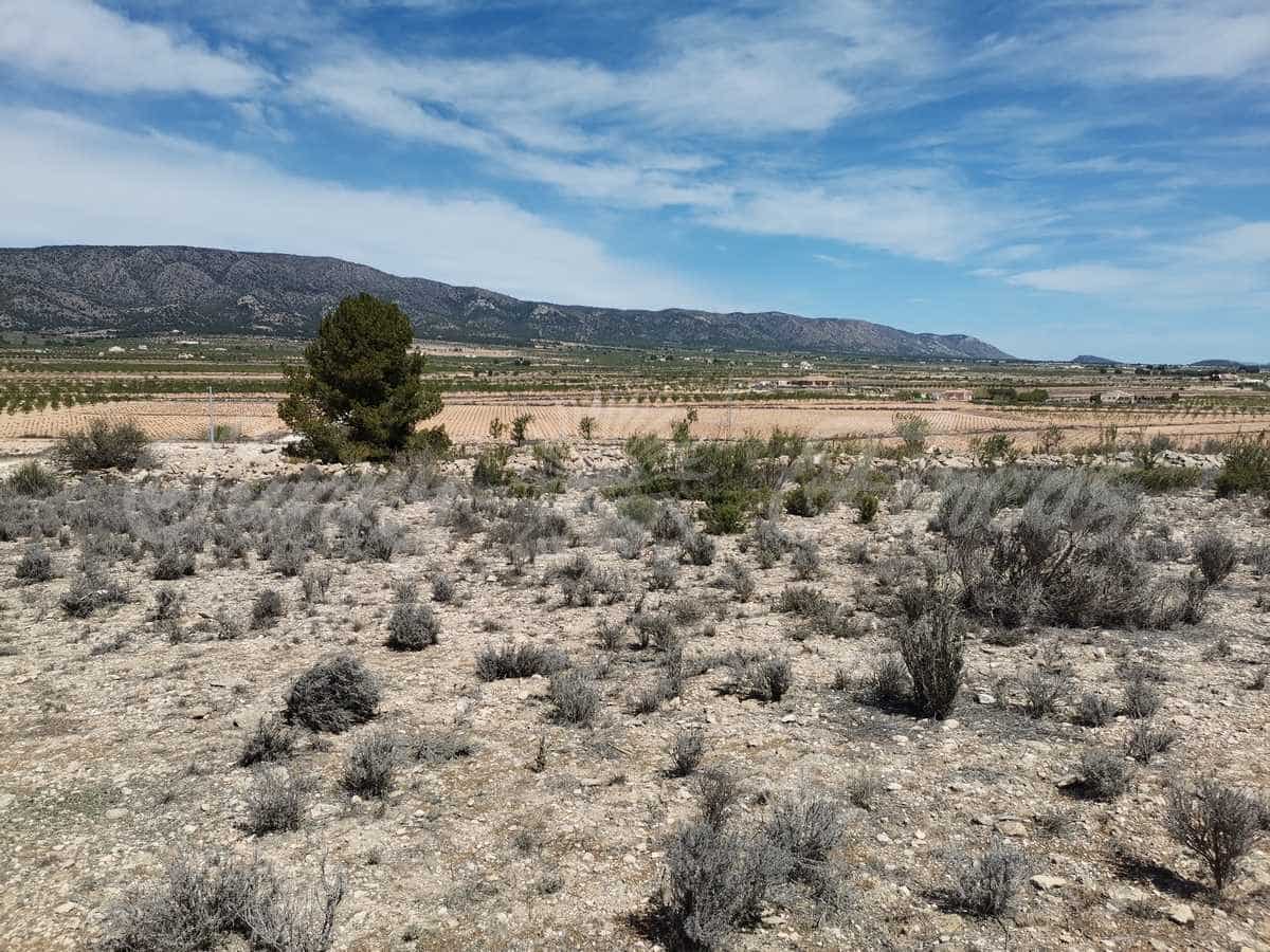 Grond te koop in Pinoso - € 38.000 (Ref: 6793992)