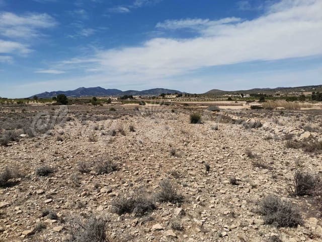 Mark till salu i Pinoso - 38 000 € (Ref: 6793992)