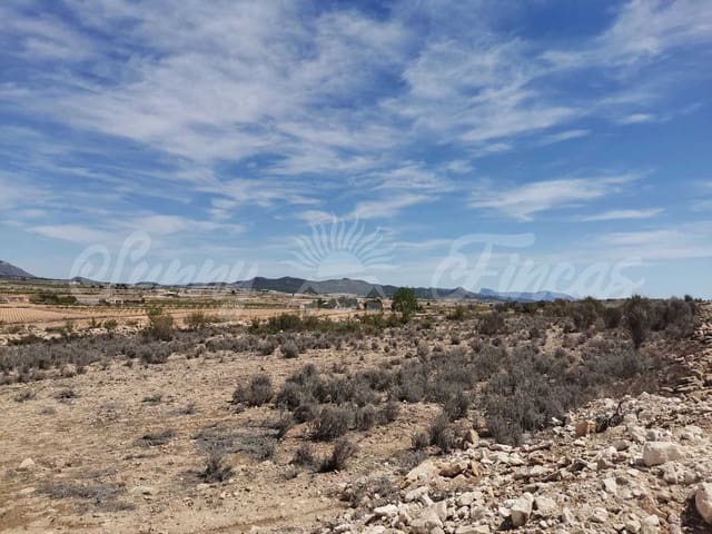 Mark till salu i Pinoso - 38 000 € (Ref: 6793992)