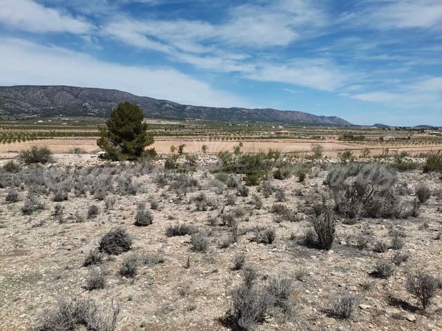 Mark till salu i Pinoso - 38 000 € (Ref: 6793992)