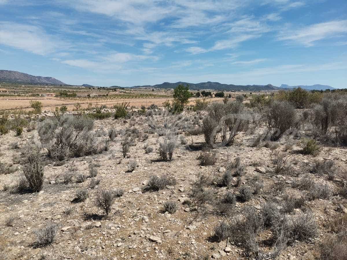 Grond te koop in Pinoso - € 38.000 (Ref: 6793992)