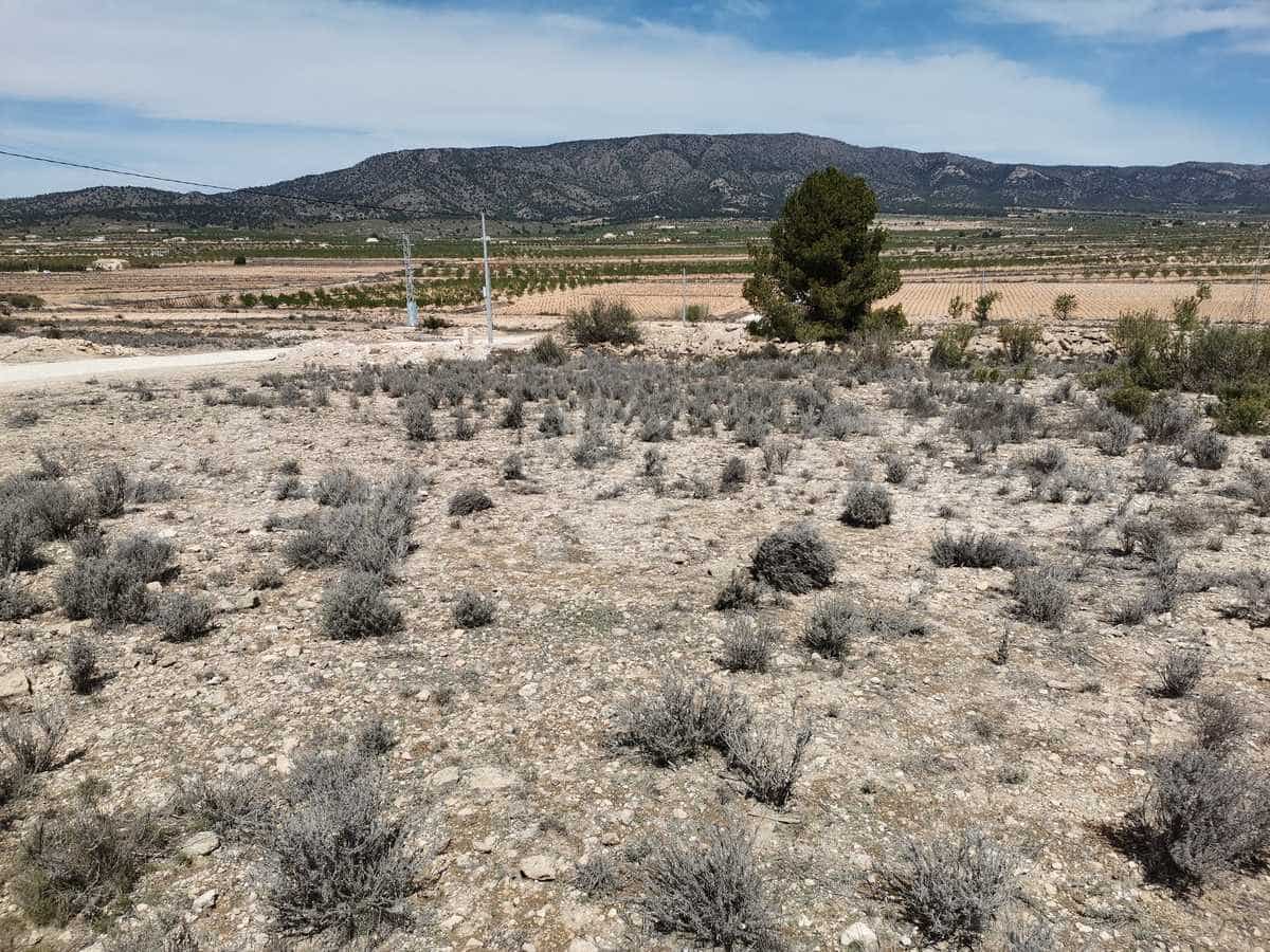 Grond te koop in Pinoso - € 38.000 (Ref: 6793992)