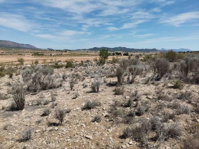 Mark till salu i Pinoso - 38 000 € (Ref: 6793992)