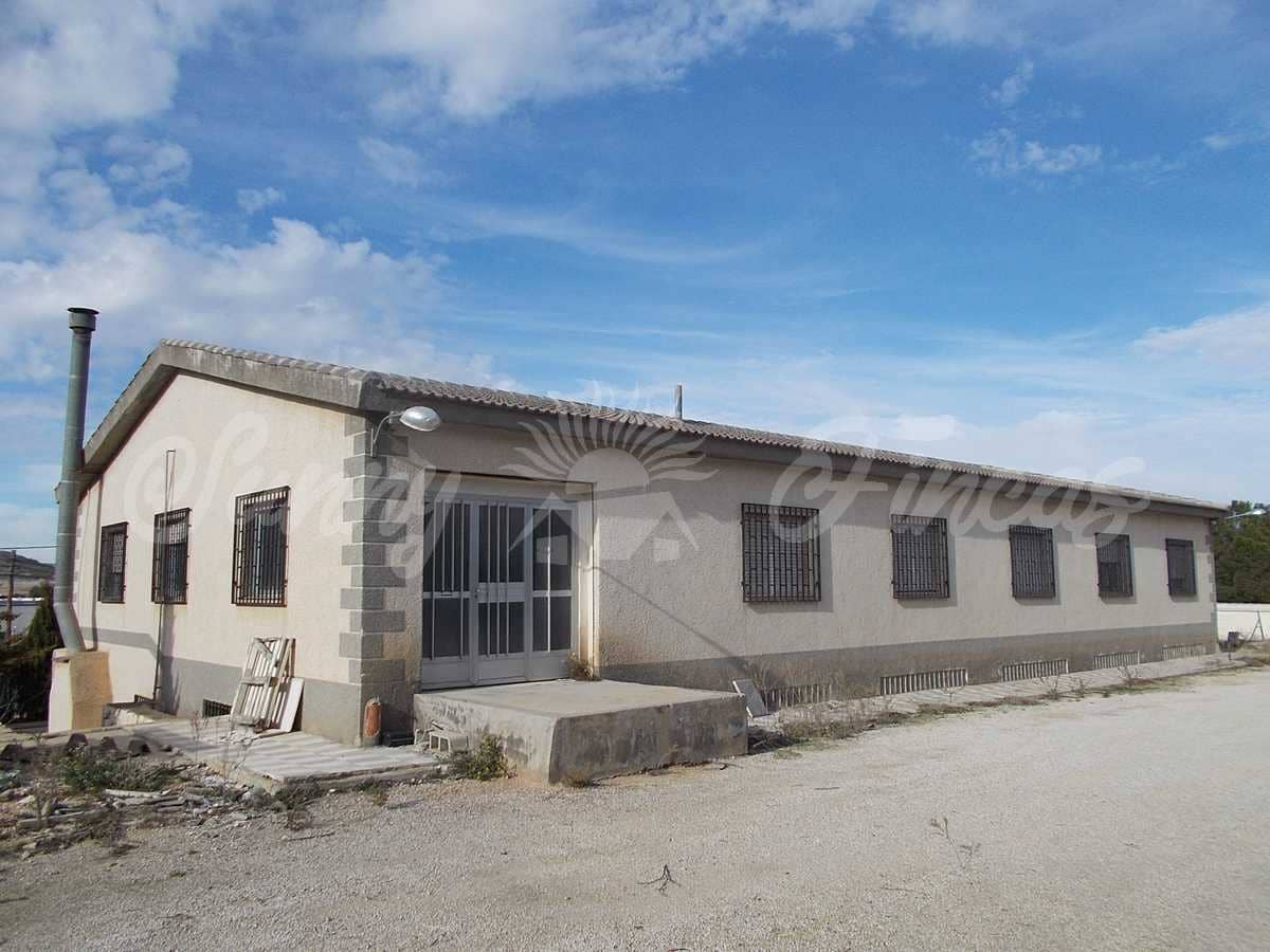 Rækkehus til salg i Yecla - € 180.000 (Ref: 6793994)