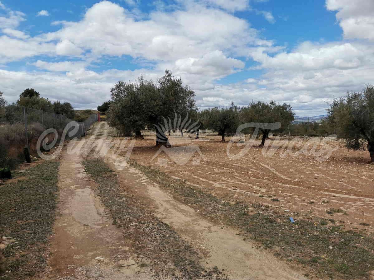 Finca/Landehus til salg i Villena - € 59.900 (Ref: 6793996)