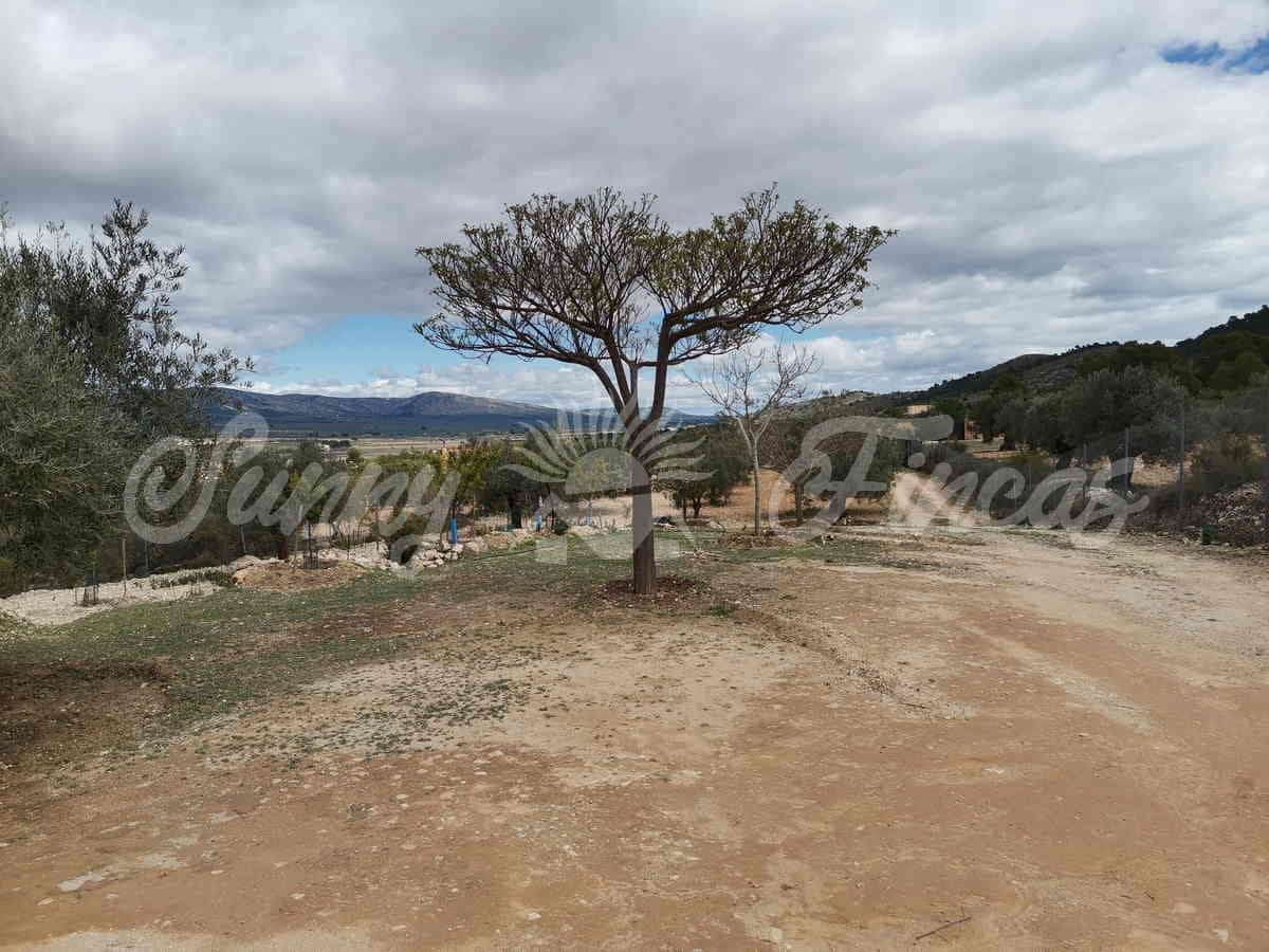 Finca/Landehus til salg i Villena - € 59.900 (Ref: 6793996)