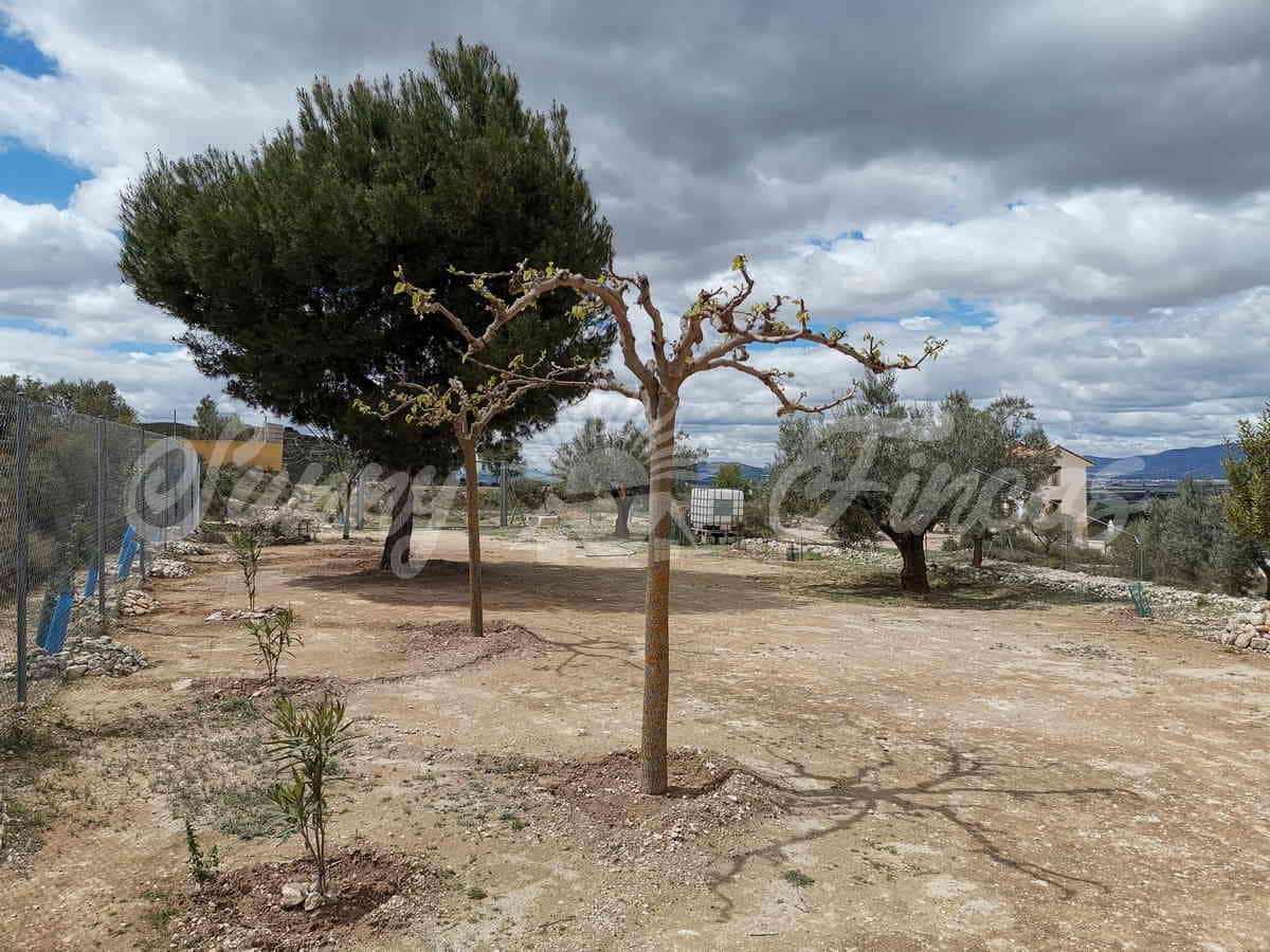 Finca/Landehus til salg i Villena - € 59.900 (Ref: 6793996)