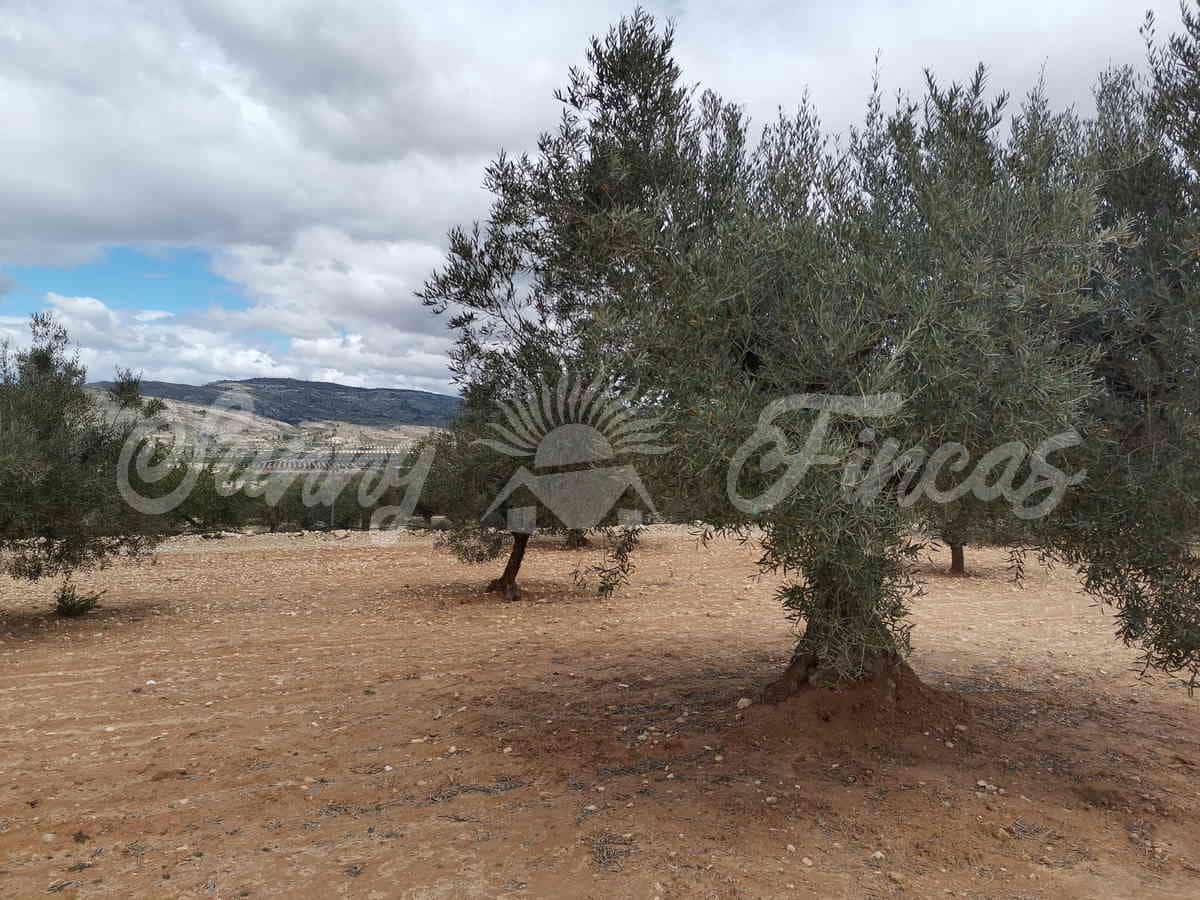 Finca/Landehus til salg i Villena - € 59.900 (Ref: 6793996)