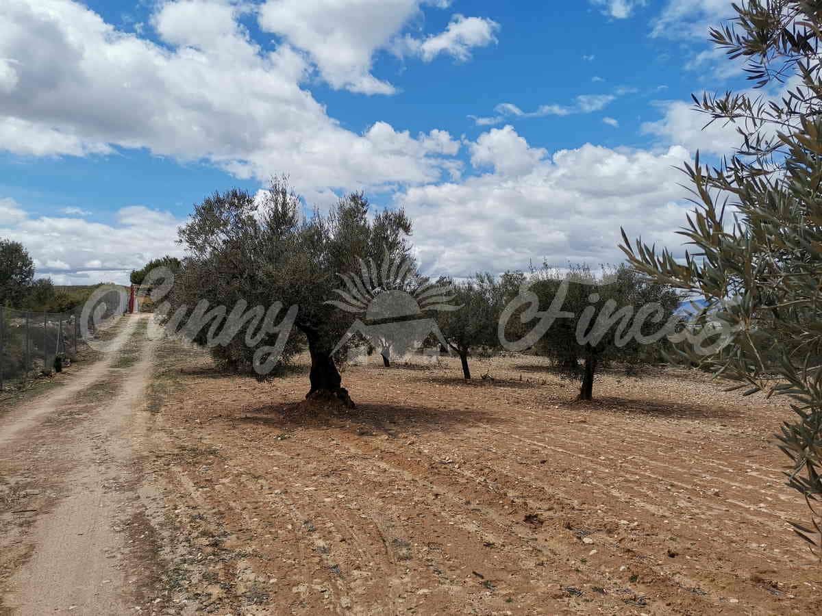 Finca/Landehus til salg i Villena - € 59.900 (Ref: 6793996)