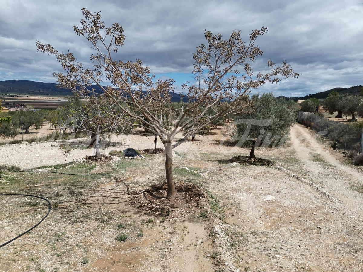 Finca/Landehus til salg i Villena - € 59.900 (Ref: 6793996)