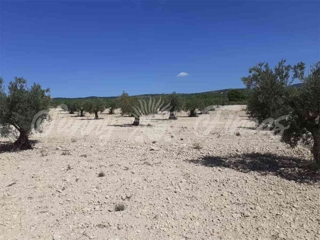 Ruin for sale in Yecla - € 19,000 (Ref: 6810818)