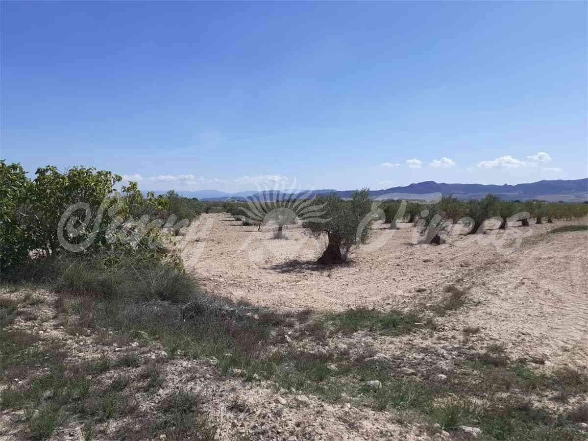 Ruin til salg i Yecla - € 19.000 (Ref: 6810818)