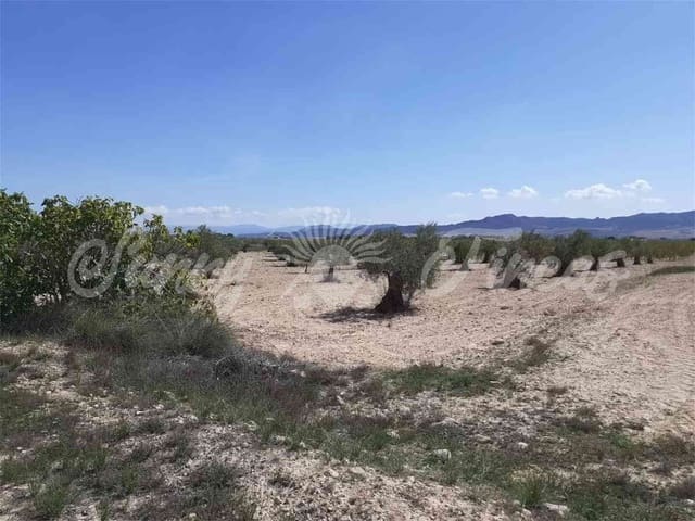 Ruin for sale in Yecla - € 19,000 (Ref: 6810818)