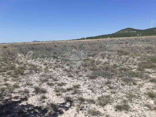 Ruin for sale in Yecla - € 19,000 (Ref: 6810818)