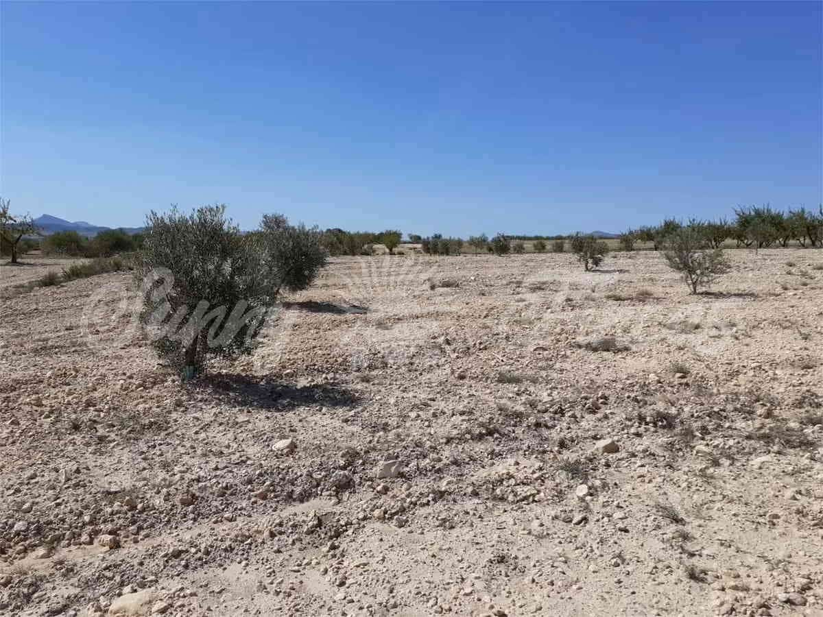 Ruin til salg i Yecla - € 19.000 (Ref: 6810818)