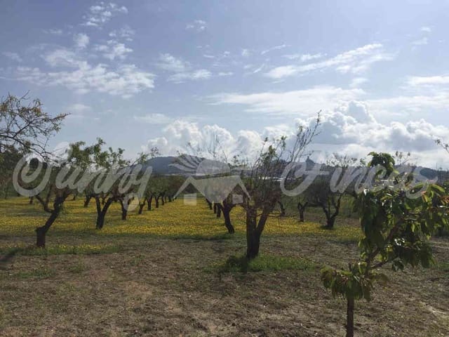 Quinta/Casa Rural para venda em Banyeres de Mariola - 85 000 € (Ref: 6826108)