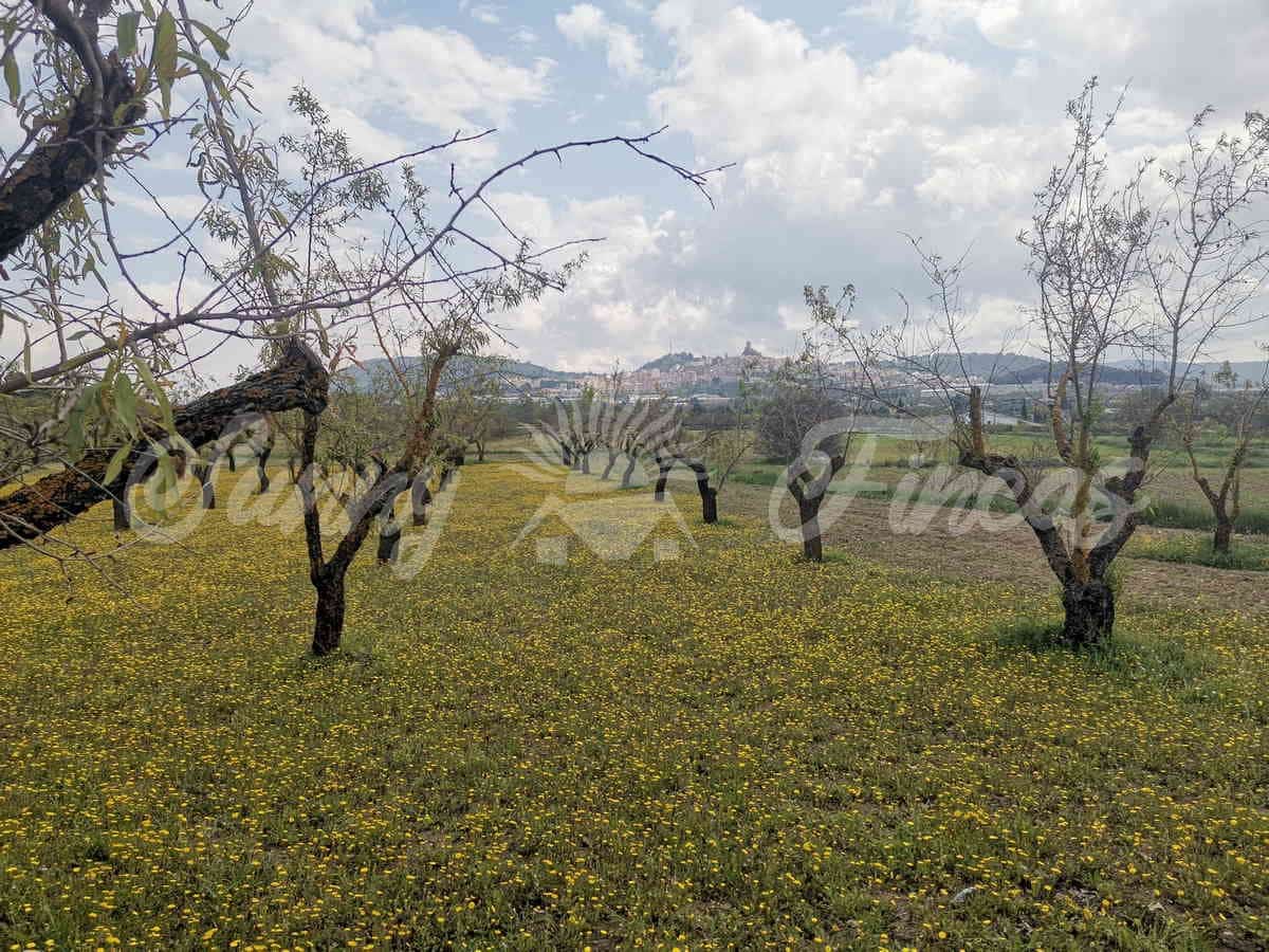 Finca/Landehus til salg i Banyeres de Mariola - € 85.000 (Ref: 6826108)