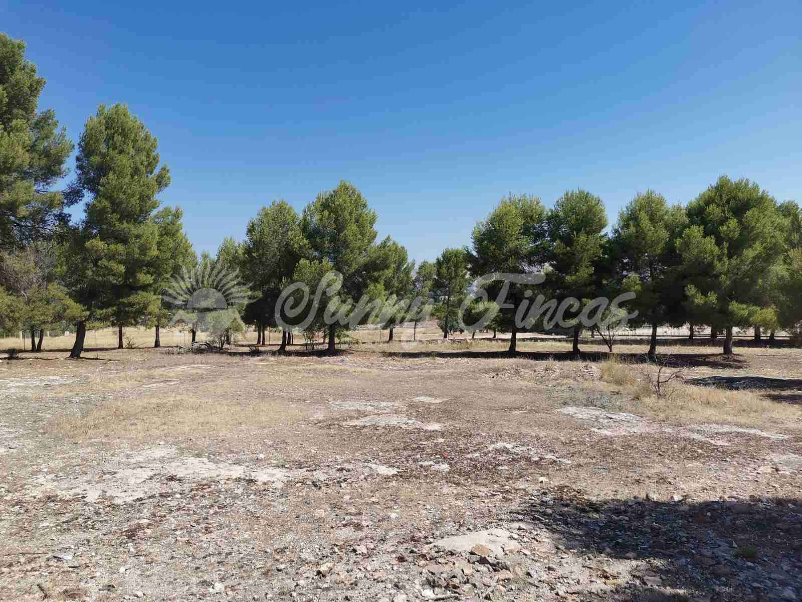 10 soveværelse Finca/Landehus til salg i Benejama / Beneixama med garage - € 599.000 (Ref: 7019365)