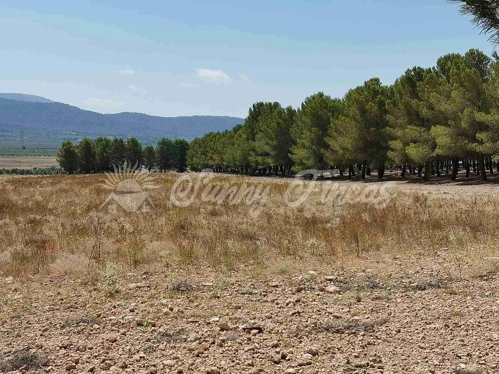 10 soveværelse Finca/Landehus til salg i Benejama / Beneixama med garage - € 599.000 (Ref: 7019365)